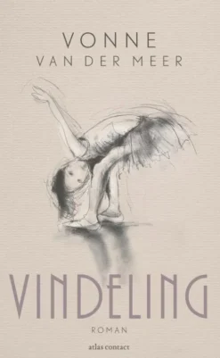 Vindeling eBook