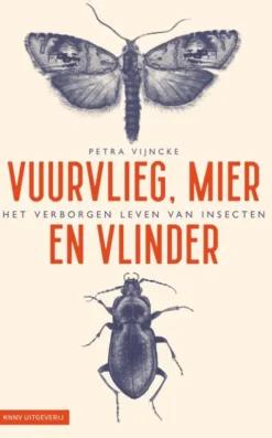 Vuurvlieg, mier en vlinder eBook
