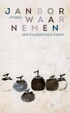 Waarnemen eBook
