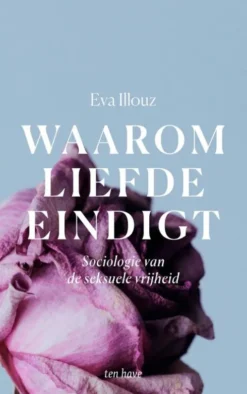 Waarom liefde eindigt eBook