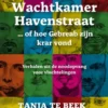 Wachtkamer Havenstraat... of hoe de Gebreab zijn krar vond eBook