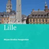 Wandelen in Lille eBook