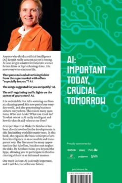 Wanted: Human-AI Translators e-book eBook