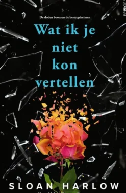 Wat ik je niet kon vertellen eBook