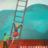 Wat overkomt mij nou?! eBook
