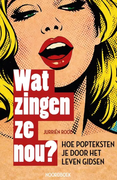 Wat zingen ze nou? eBook