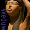Weduwen eBook