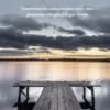 Winterzwemmen eBook