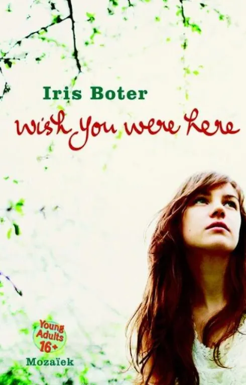 Wish you were here eBook