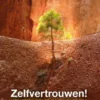 Zelfvertrouwen! eBook