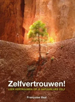 Zelfvertrouwen! eBook