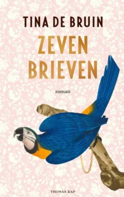 Zeven brieven eBook