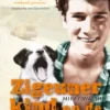 Zigeunerkind op de vlucht eBook