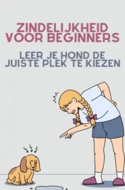 Zindelijkheid voor beginners eBook