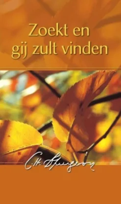 Zoekt en gij zult vinden eBook