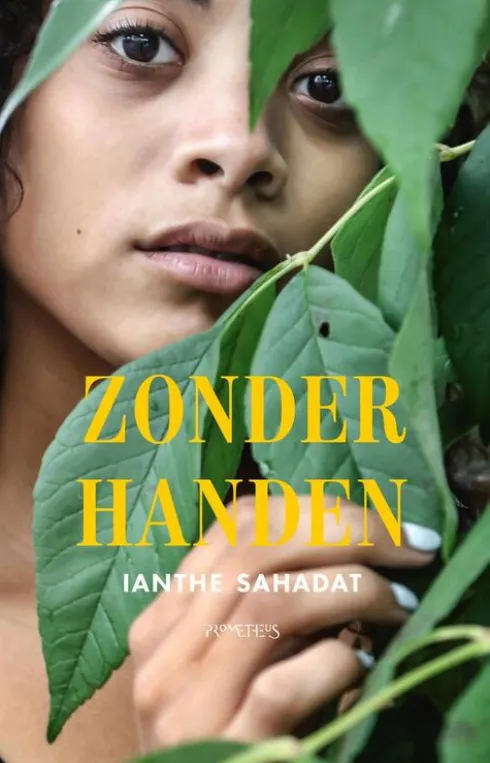 Zonder handen eBook