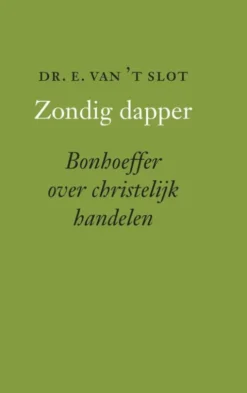 Zondig dapper eBook